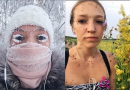 西伯利亚的不同季节...寒霜与蚊子